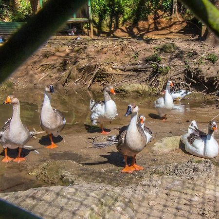 Hotel Fazenda Canto Da Serra Jaconé Dış mekan fotoğraf