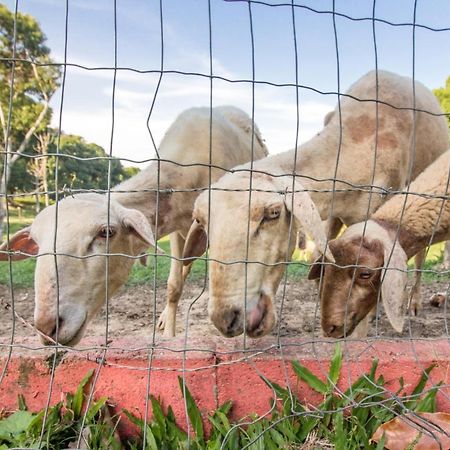 Hotel Fazenda Canto Da Serra Jaconé Dış mekan fotoğraf