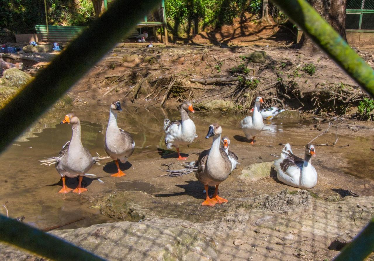 Hotel Fazenda Canto Da Serra Jaconé Dış mekan fotoğraf
