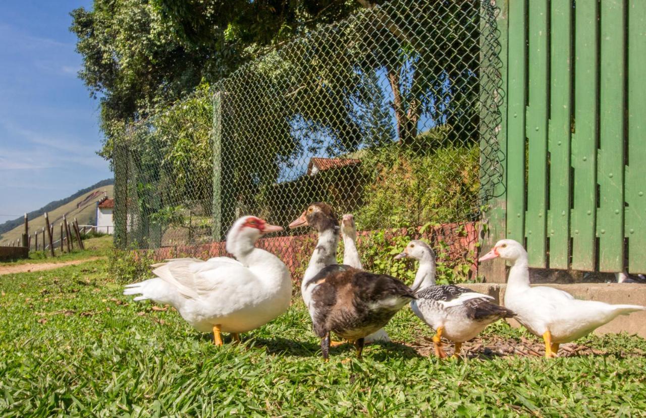 Hotel Fazenda Canto Da Serra Jaconé Dış mekan fotoğraf