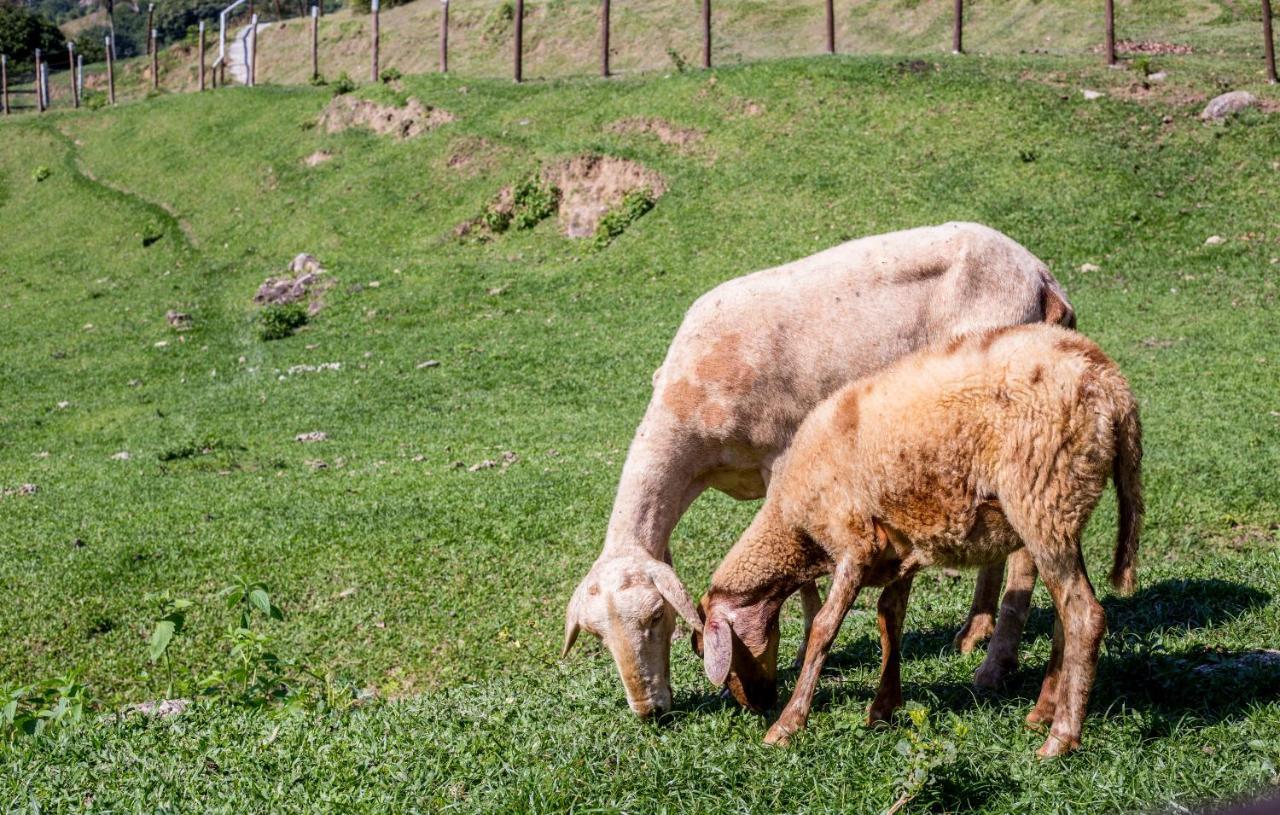 Hotel Fazenda Canto Da Serra Jaconé Dış mekan fotoğraf