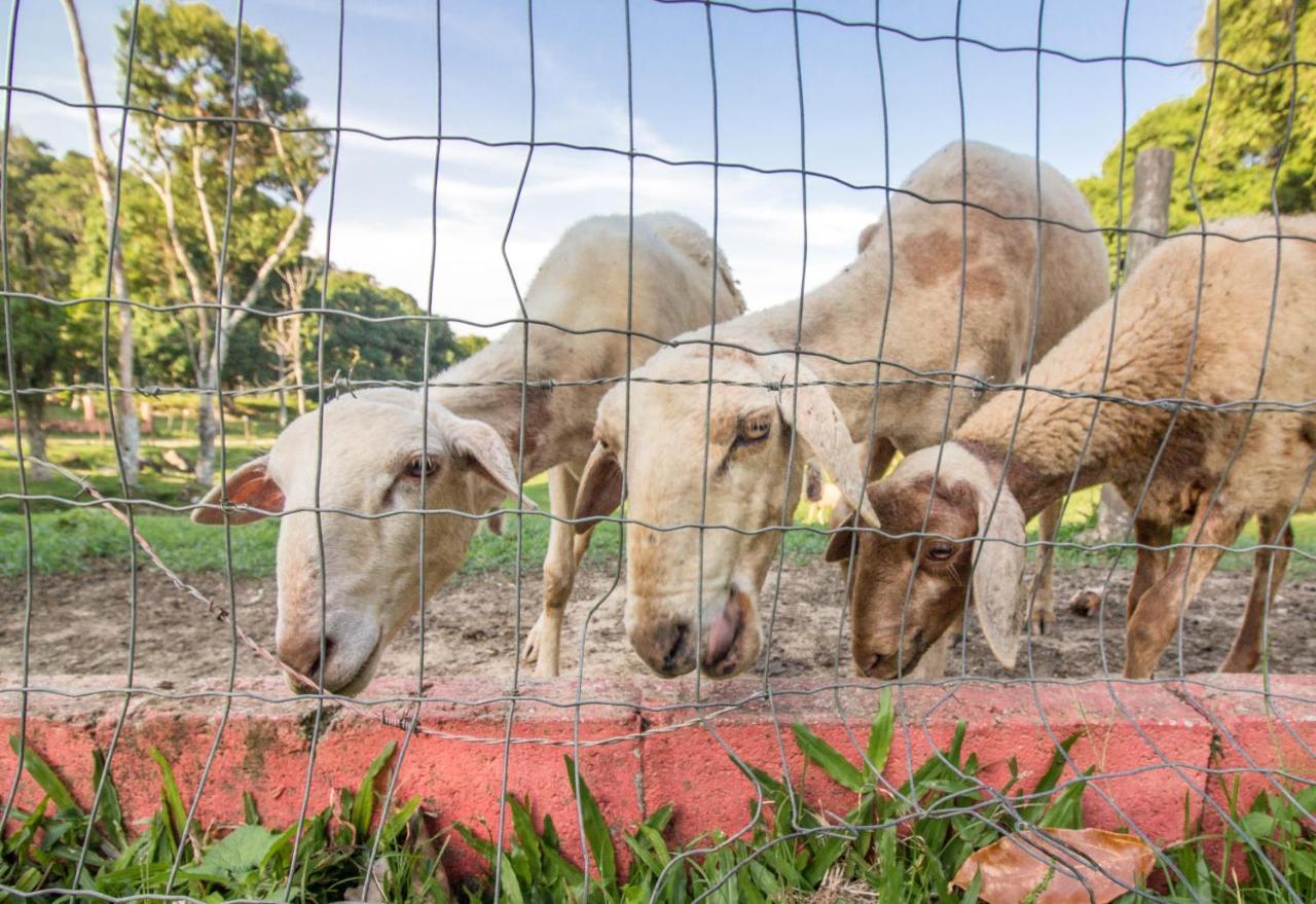 Hotel Fazenda Canto Da Serra Jaconé Dış mekan fotoğraf