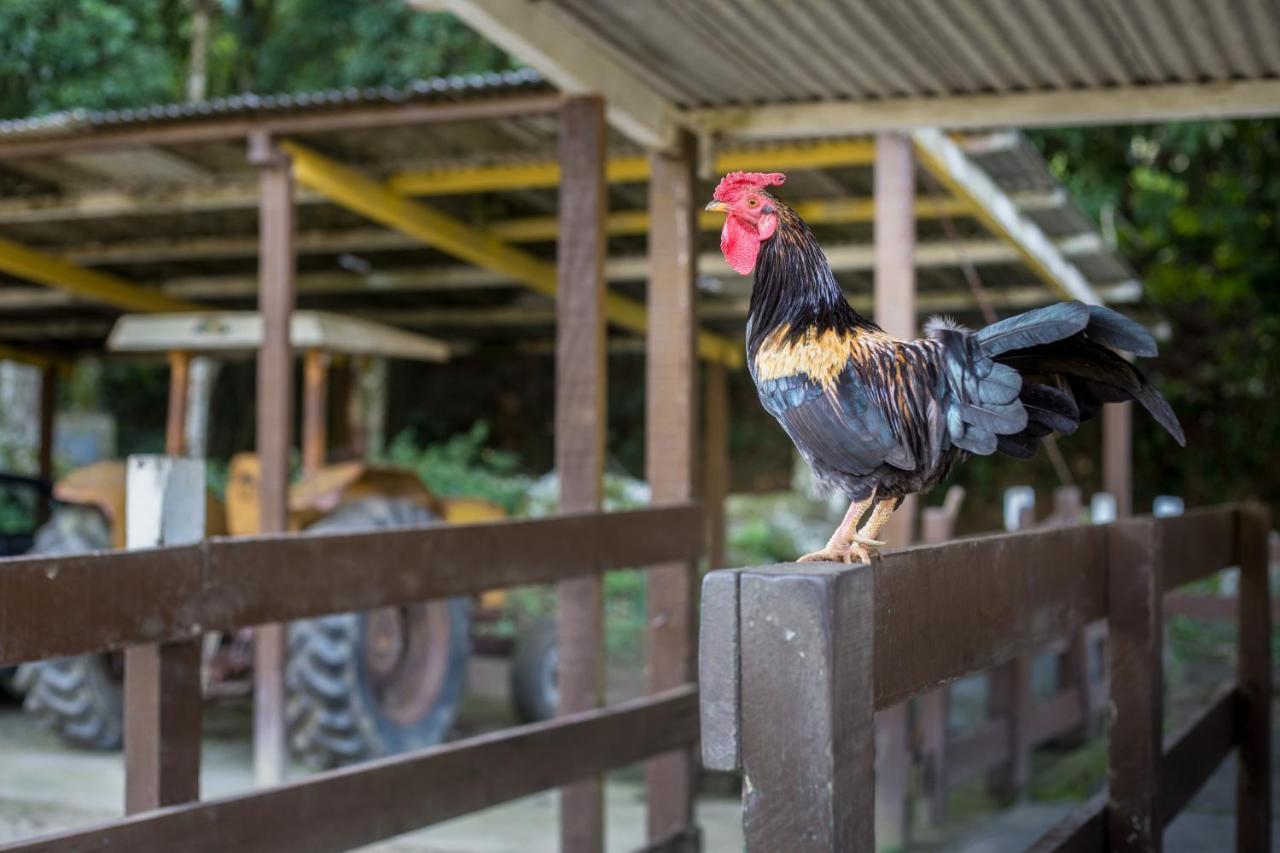 Hotel Fazenda Canto Da Serra Jaconé Dış mekan fotoğraf